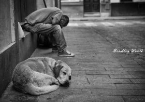 Man And His Dog